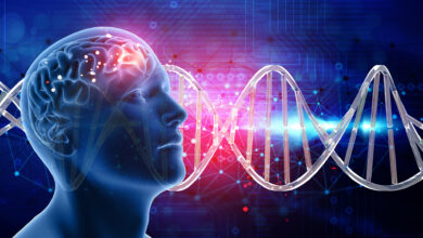 What Is Mental Disorders- You Should Know