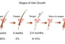 What Is The Hair Growth Cycle You Need Know