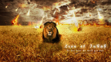 Download The Lion Of Judah Movie | Download Full Movie