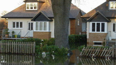 How to Deal With Water Damage at Your Portland Oregon Rental Property?