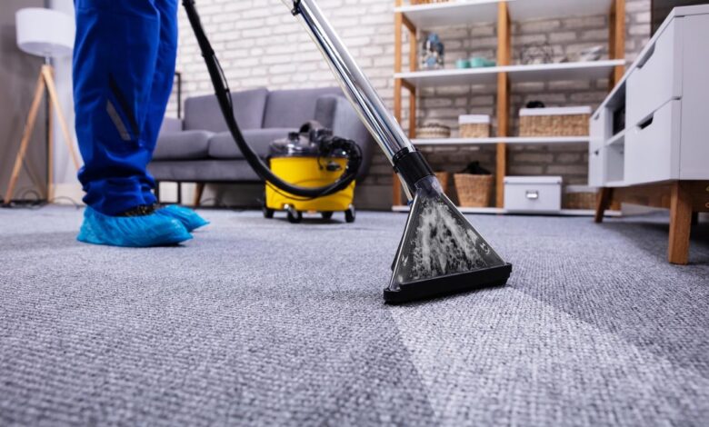 5 Questions You Need To Answer Before Booking Carpet Cleaner