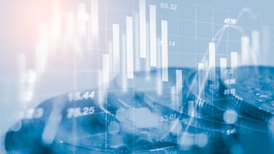 35m Series Forestay Capitalsawersventurebeat