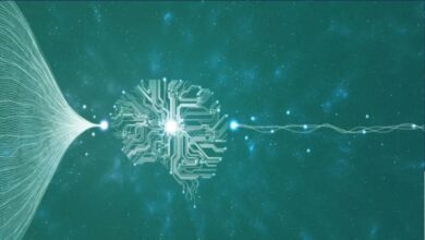 AMP 55m XN 75mwiggersventurebeat