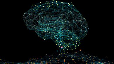 HPE Determined Aiwiggersventurebeat