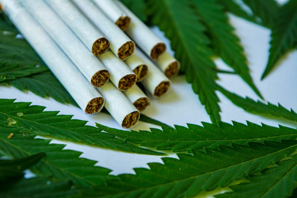 Hemp Cigarettes - The New Way To Get The Benefits Of CBD
