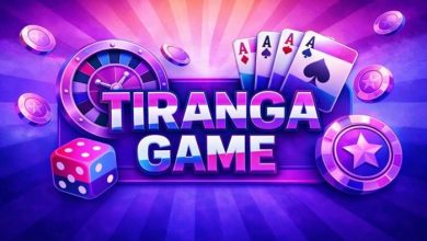 Top Security Checks Before Downloading Any Tiranga Game App