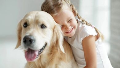 Creating A Safe and Hygiene-Focused Environment For Kids And Pets
