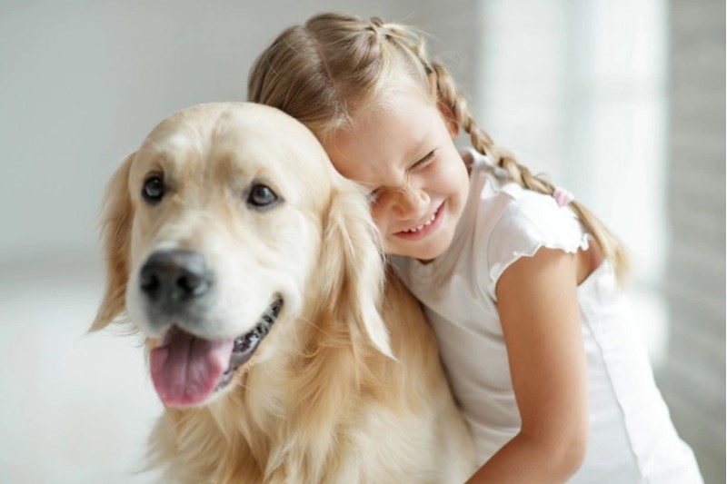Creating A Safe and Hygiene-Focused Environment For Kids And Pets